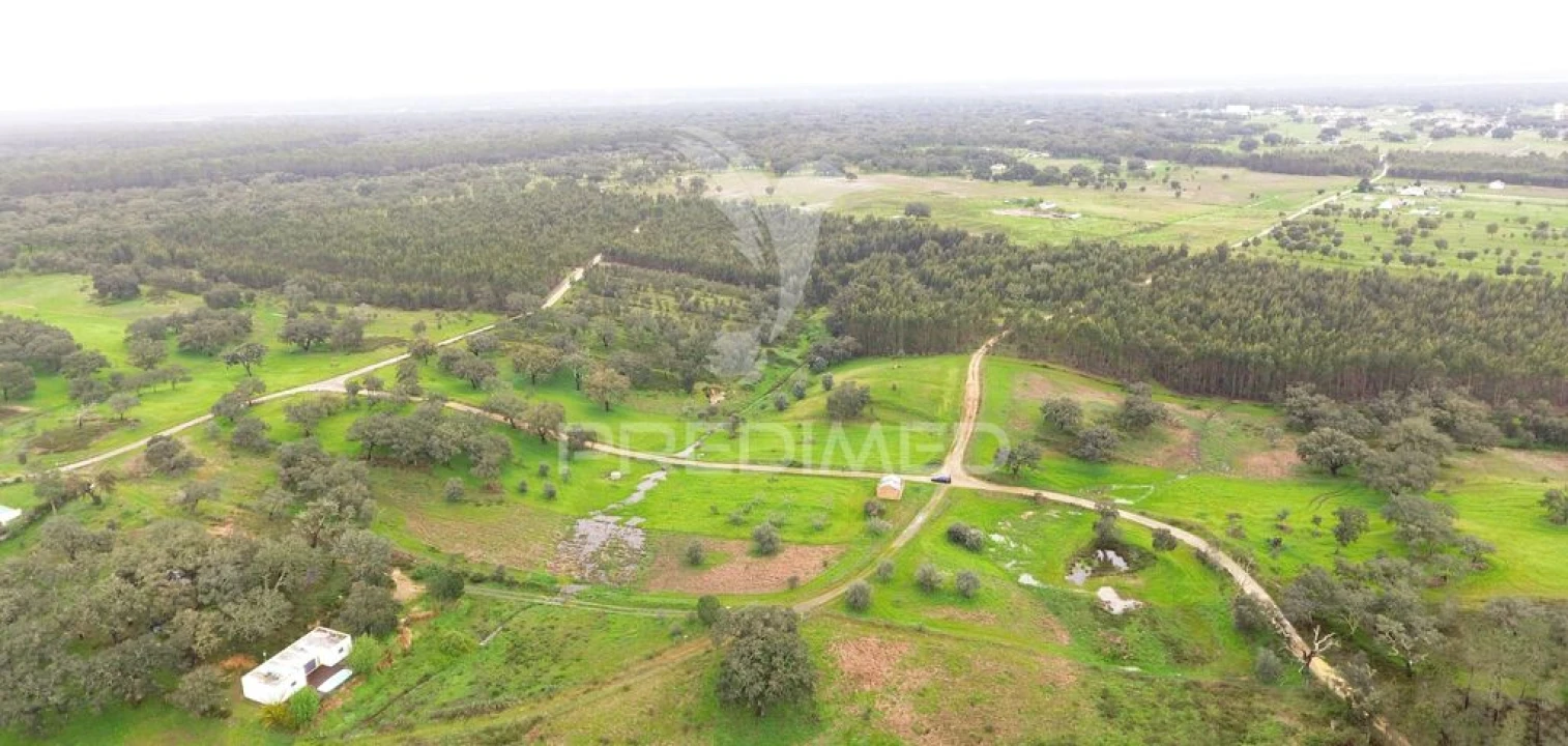 Terreno para Venda em São Domingos e Vale de Água Foto 7
