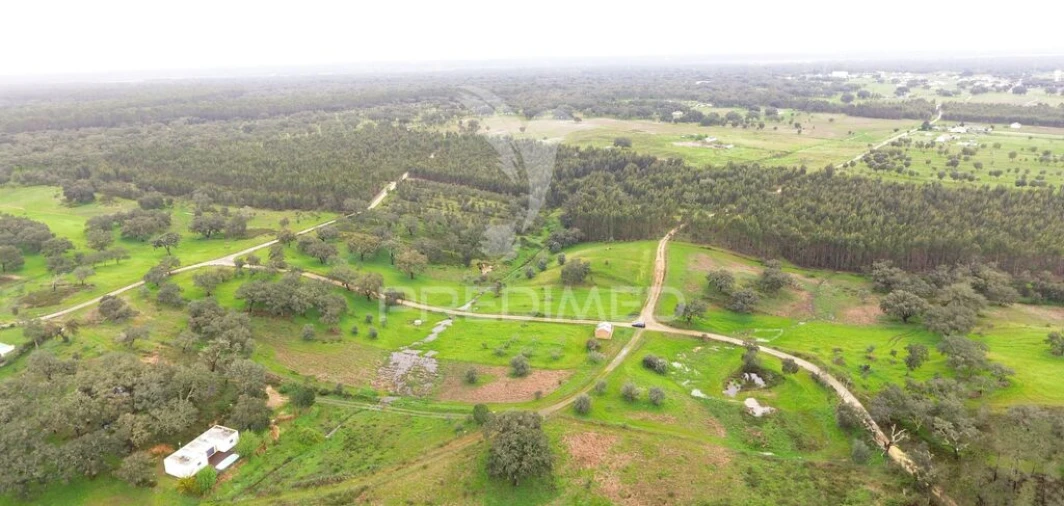 Terreno para Venda em São Domingos e Vale de Água Foto 7