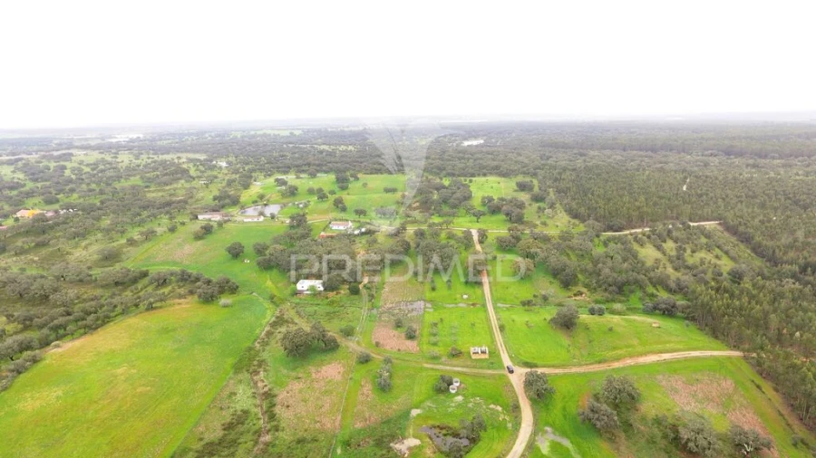 Terreno para Venda em São Domingos e Vale de Água Foto 4