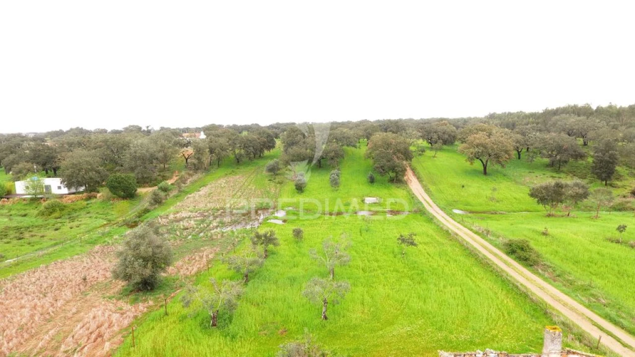 Terreno para Venda em São Domingos e Vale de Água Foto 3