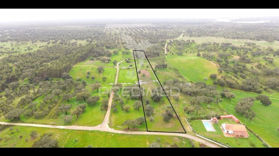 Terreno para Venda em São Domingos e Vale de Água