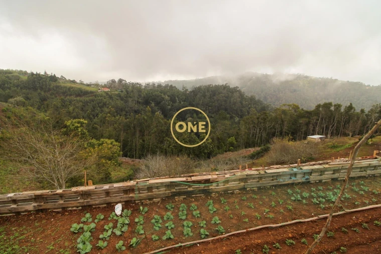 Moradia T5 para Venda em Santo Antonio da Serra Foto 44