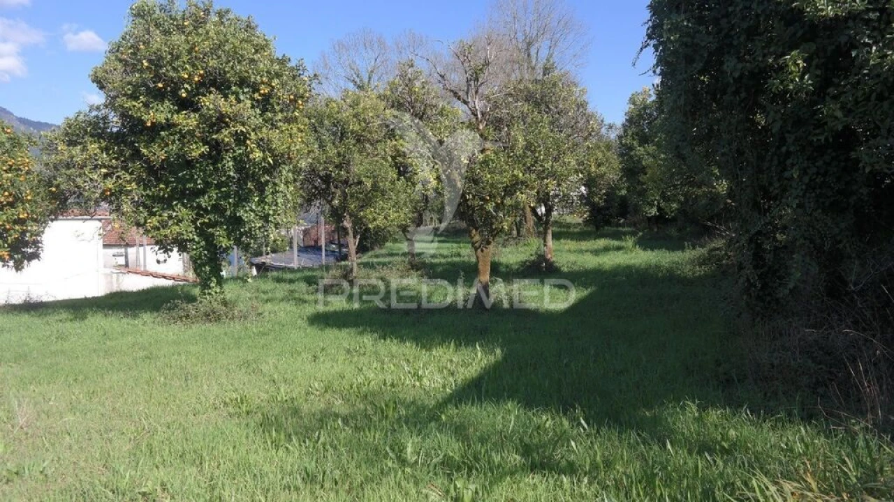 Terreno para Venda em Rio Caldo Foto 13