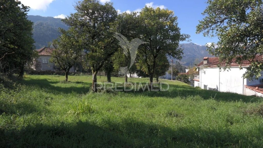Terreno para Venda em Rio Caldo Foto 17