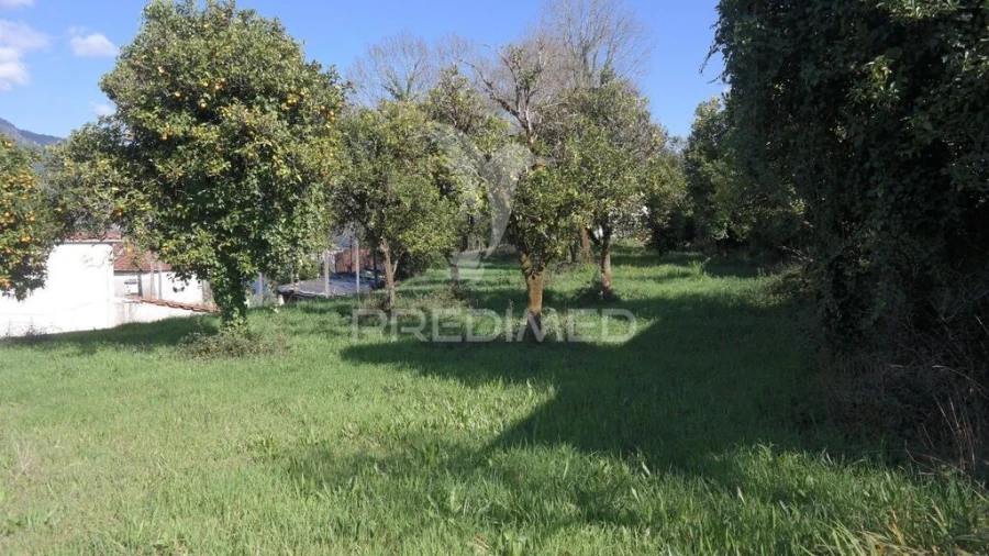 Terreno para Venda em Rio Caldo Foto 13