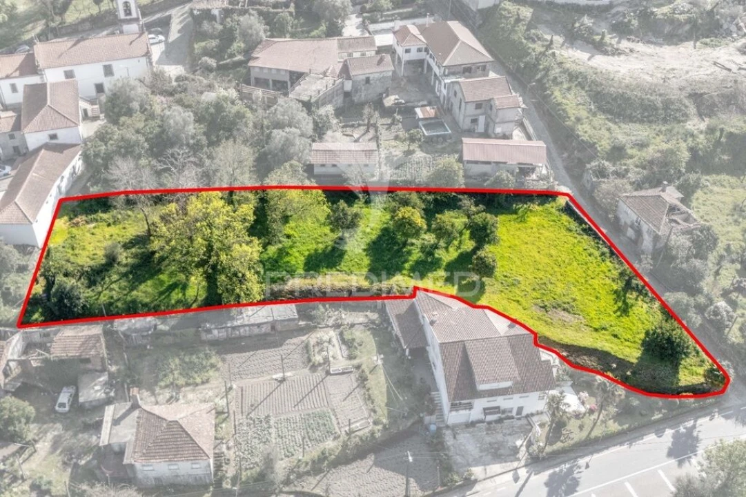 Terreno para Venda em Rio Caldo Foto 4