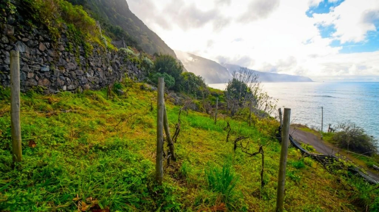 Terreno para Venda em São Vicente Foto 4