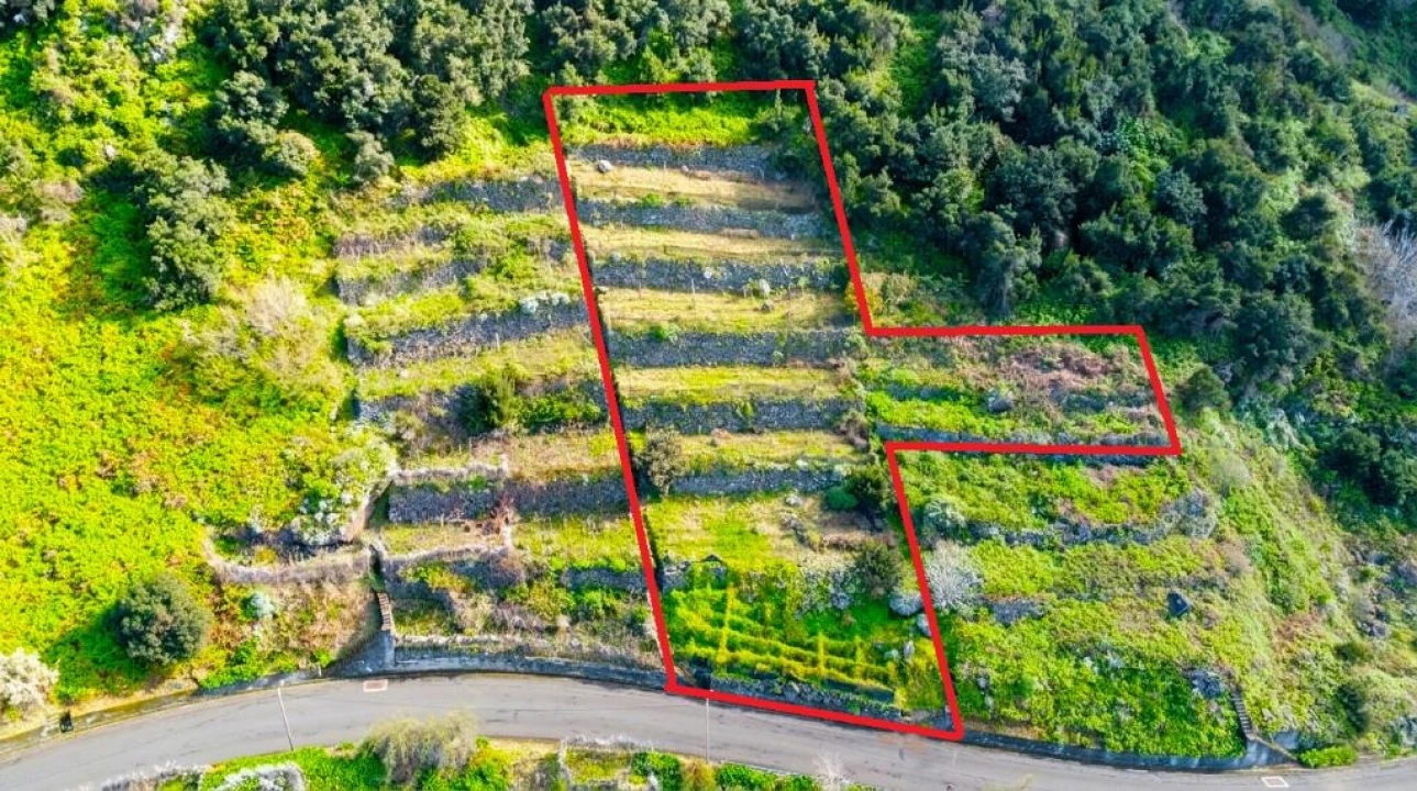 Terreno para Venda em São Vicente Foto 16