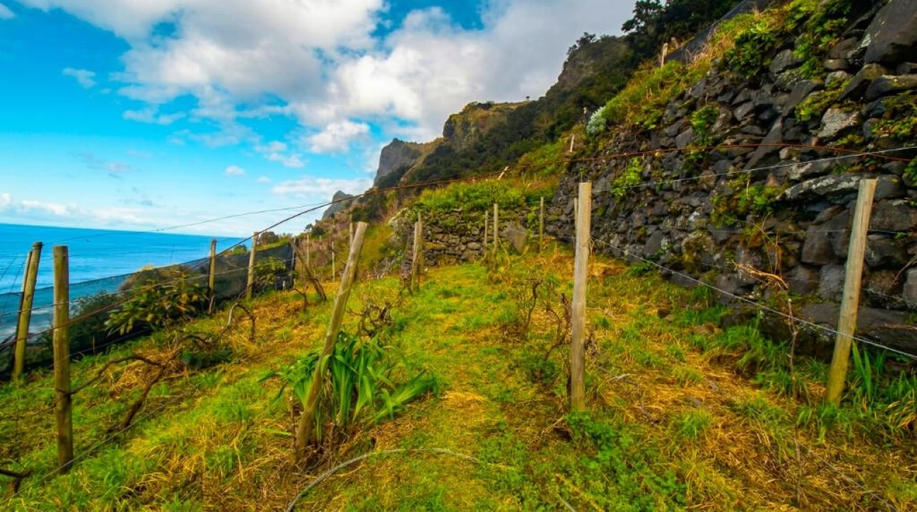 Terreno para Venda em São Vicente Foto 5