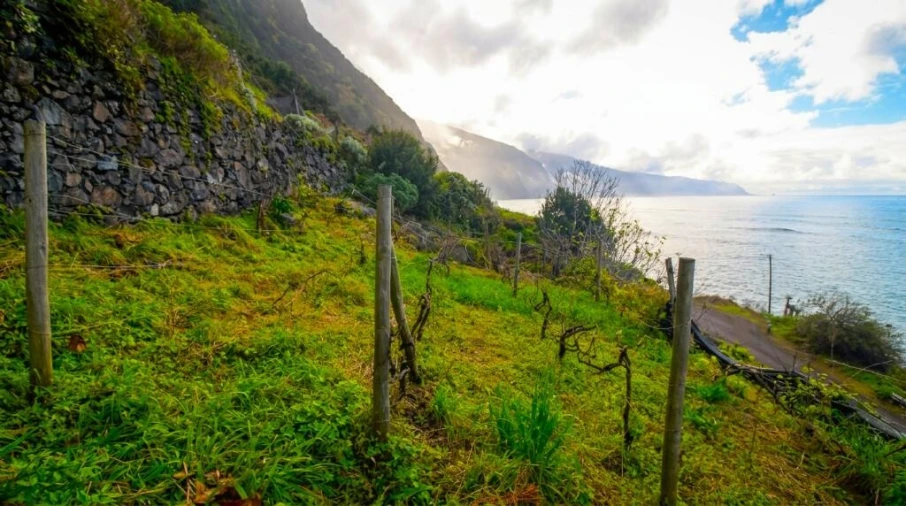 Terreno para Venda em São Vicente Foto 4