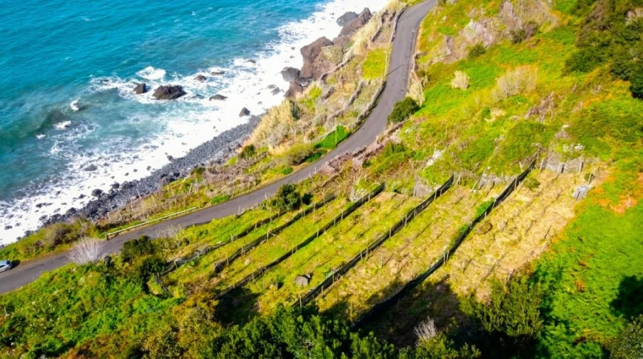 Terreno para Venda em São Vicente Foto 2