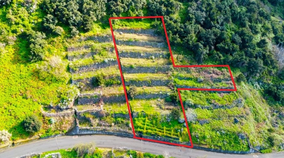 Terreno para Venda em São Vicente Foto 16