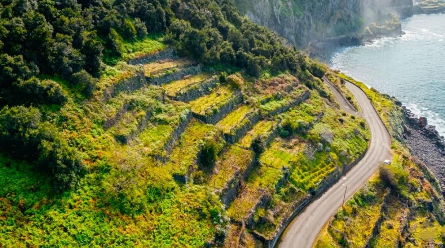Terreno para Venda em São Vicente Foto 3