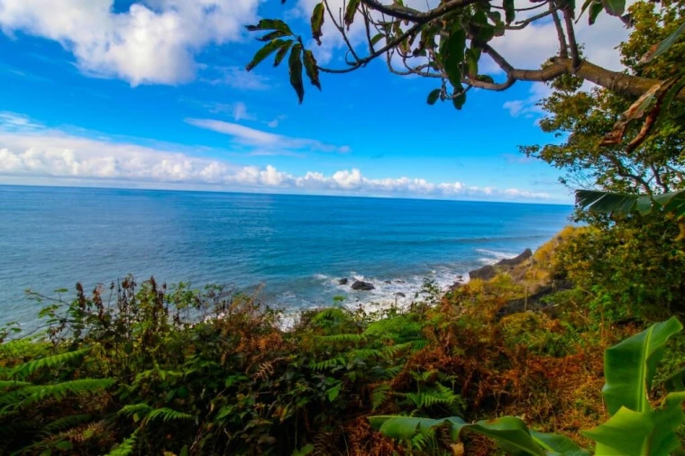 Terreno para Venda em São Vicente Foto 1