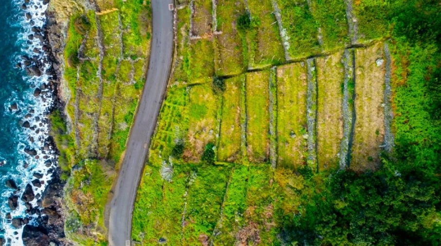 Terreno para Venda em São Vicente Foto 13