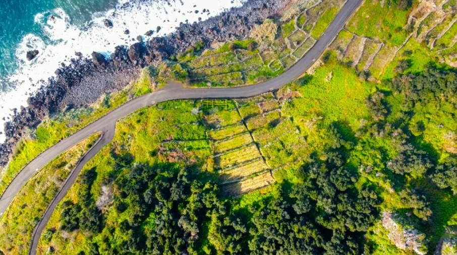 Terreno para Venda em São Vicente Foto 14