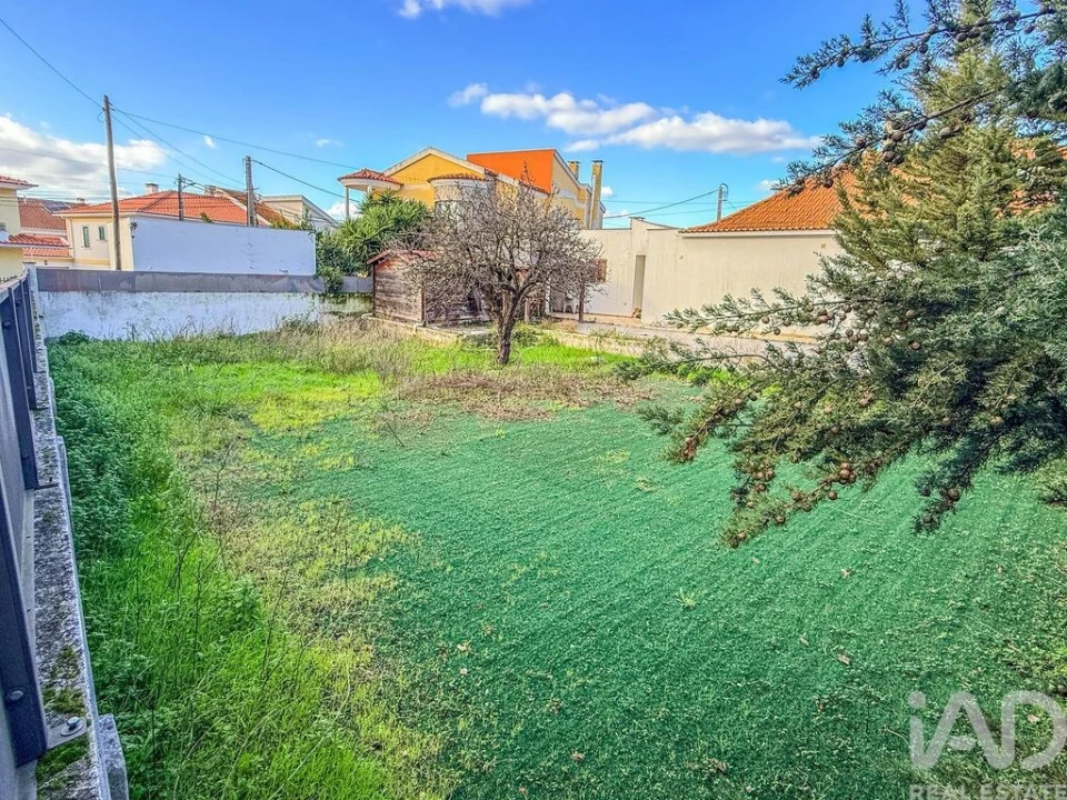 Terreno para Venda em Amora Foto 3