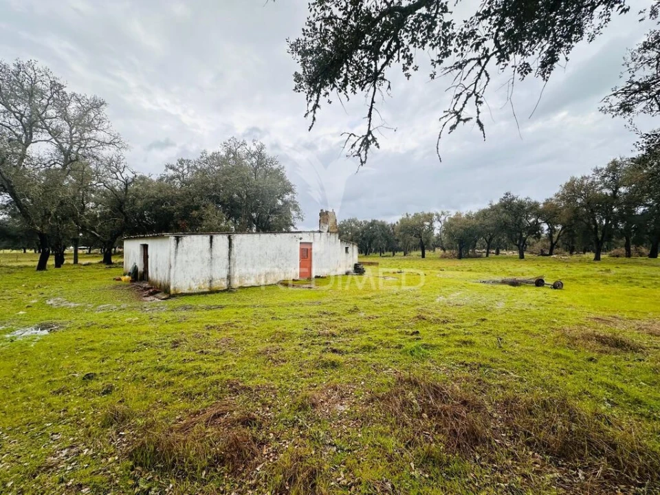 Quinta T3 para Venda em São Domingos e Vale de Água Foto 18