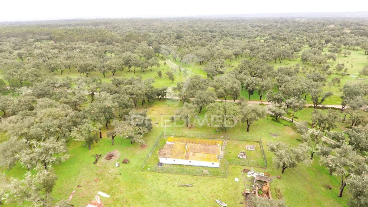 Quinta T3 para Venda em São Domingos e Vale de Água Foto 11