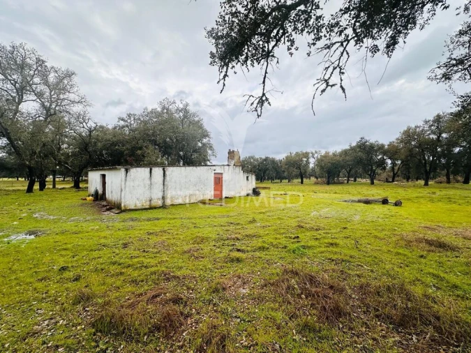 Quinta T3 para Venda em São Domingos e Vale de Água Foto 18