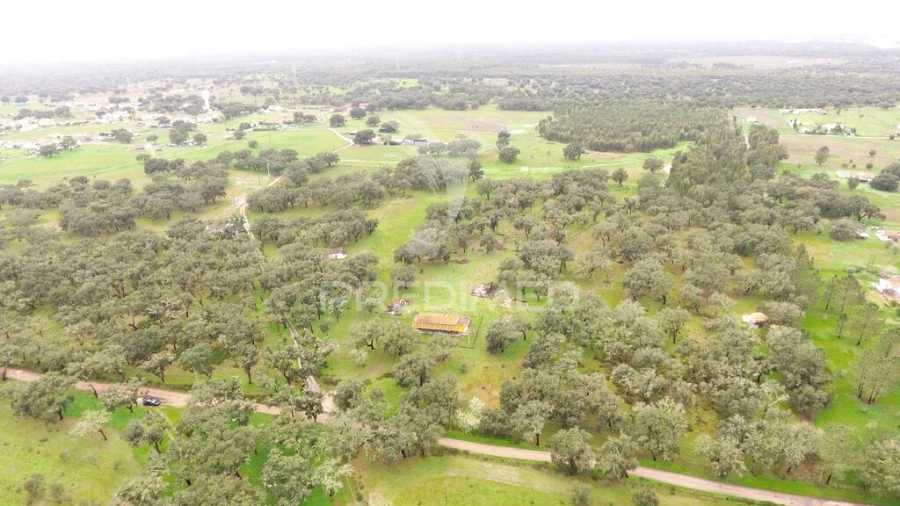 Quinta T3 para Venda em São Domingos e Vale de Água Foto 5