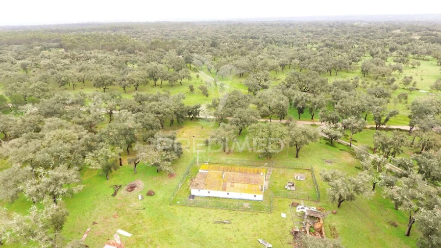 Quinta T3 para Venda em São Domingos e Vale de Água Foto 11