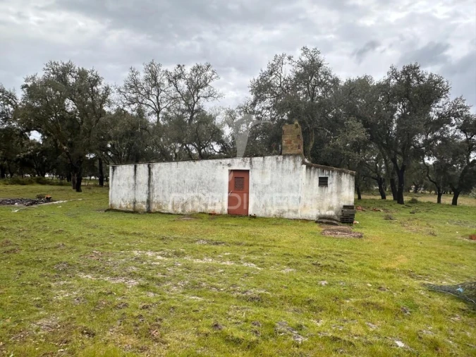 Quinta T3 para Venda em São Domingos e Vale de Água Foto 19