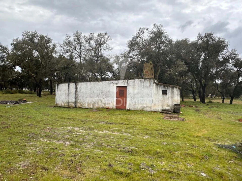 Quinta T3 para Venda em São Domingos e Vale de Água Foto 19