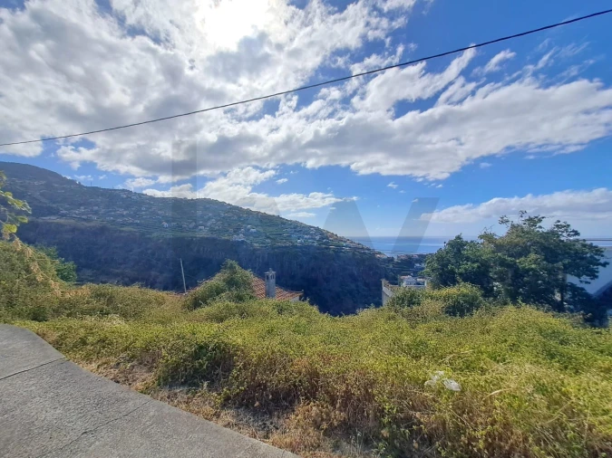Terreno para Venda em Ribeira Brava Foto 13