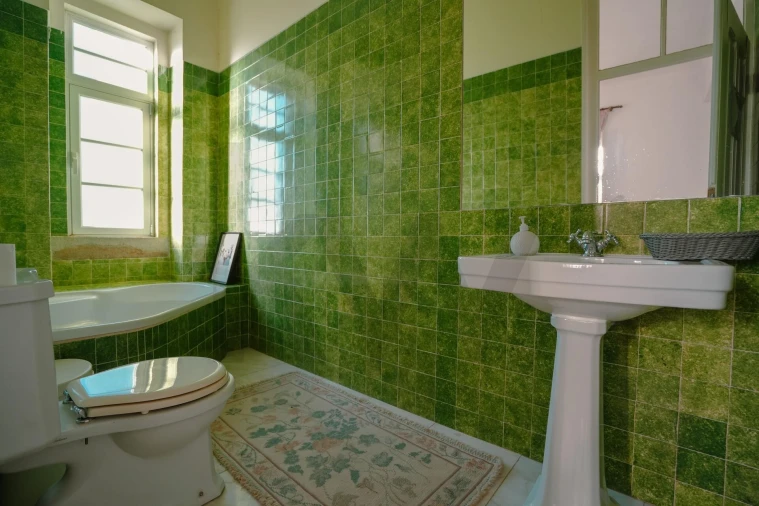 Quinta T16 para Venda em Palmela Foto 26