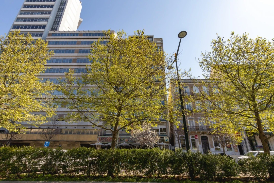 Apartamento T1 para Arrendamento em Avenidas Novas Foto 24