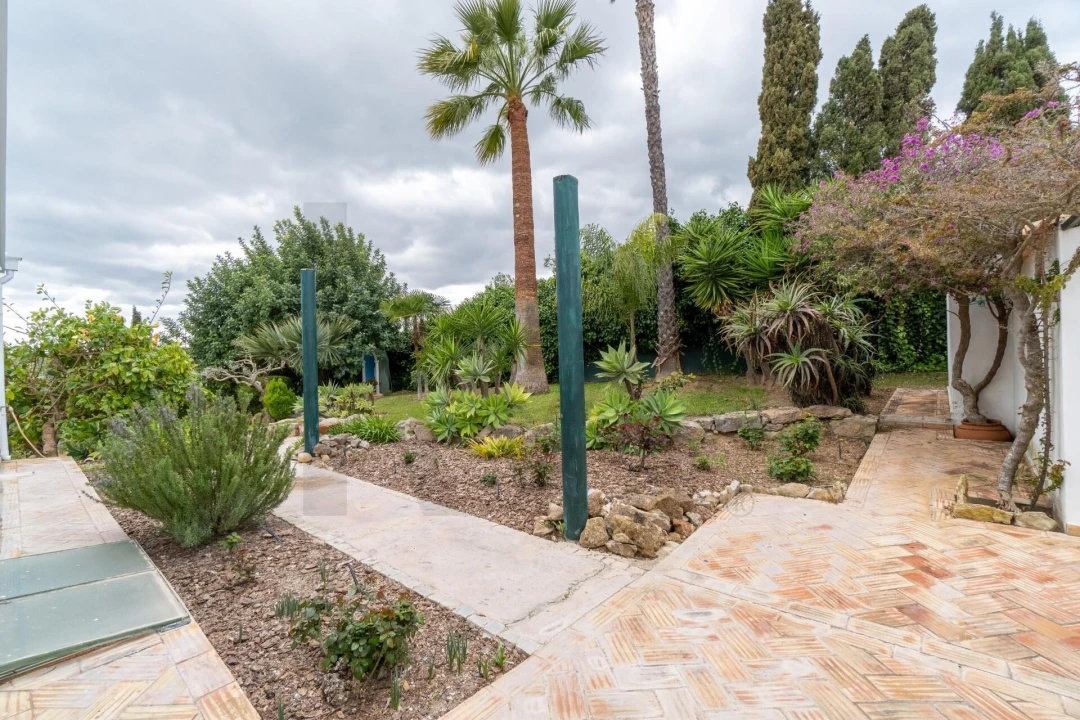 Moradia T4 para Venda em Pechão Foto 40