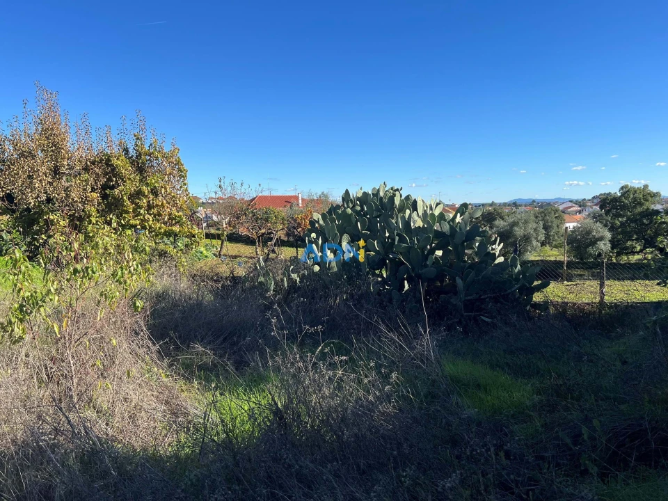 Terreno para Venda em Cebolais de Cima e Retaxo Foto 11