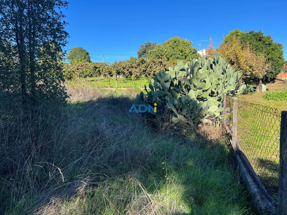 Terreno para Venda em Cebolais de Cima e Retaxo Foto 12