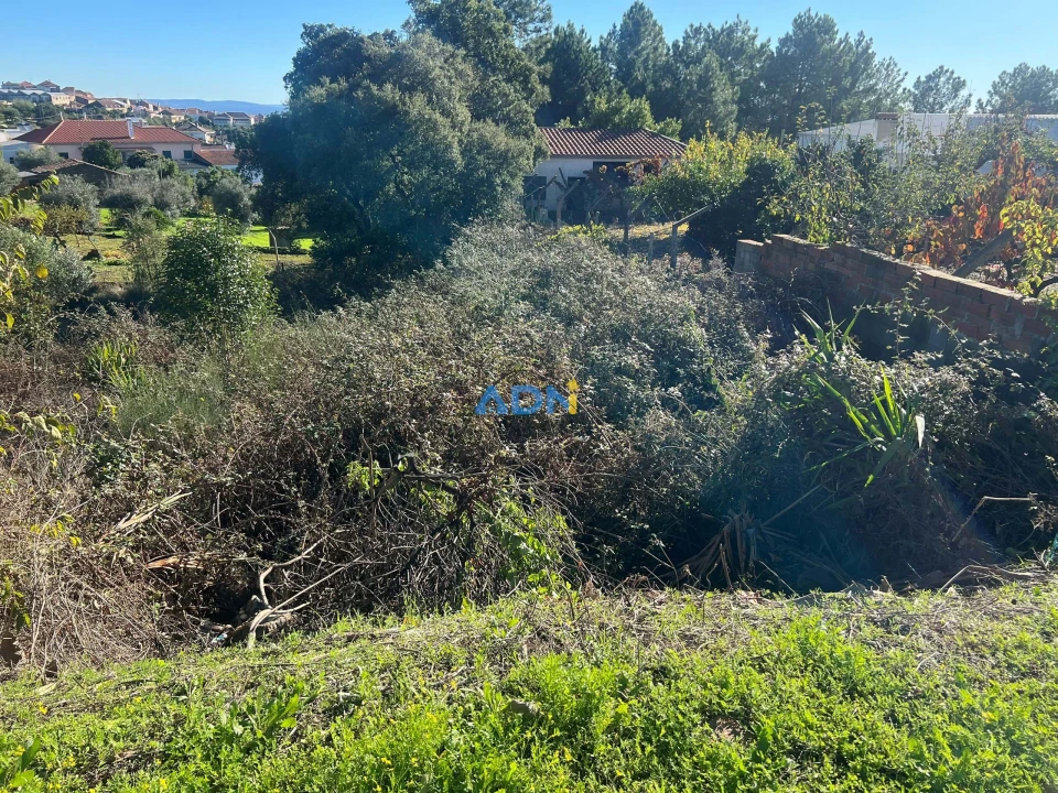 Terreno para Venda em Cebolais de Cima e Retaxo Foto 1