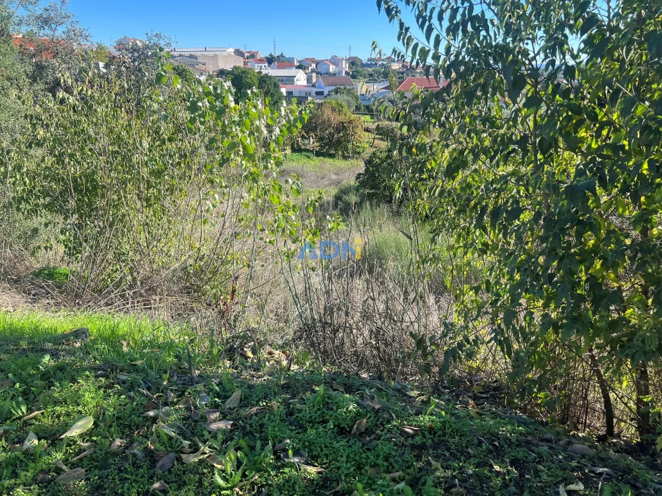 Terreno para Venda em Cebolais de Cima e Retaxo Foto 2