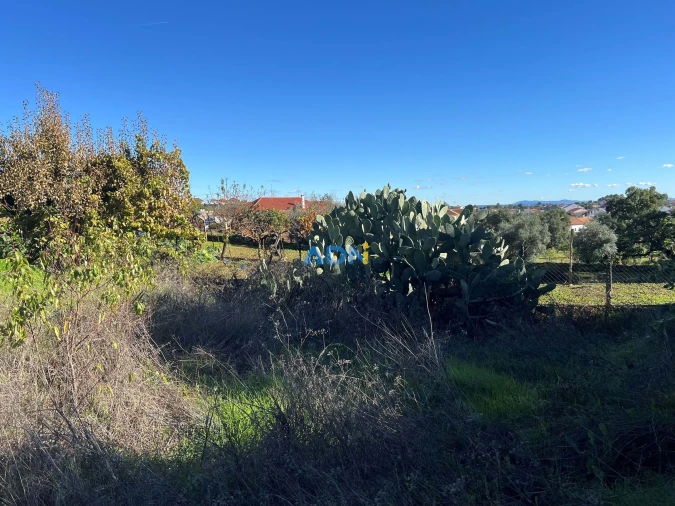 Terreno para Venda em Cebolais de Cima e Retaxo Foto 11