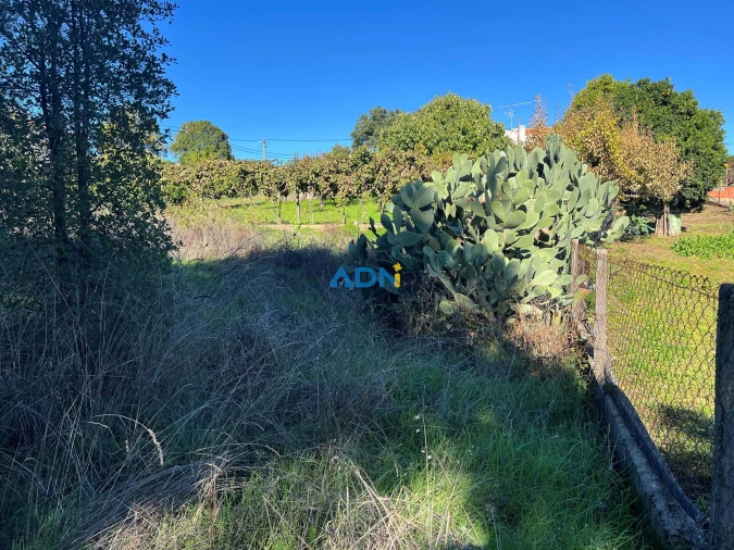 Terreno para Venda em Cebolais de Cima e Retaxo Foto 12