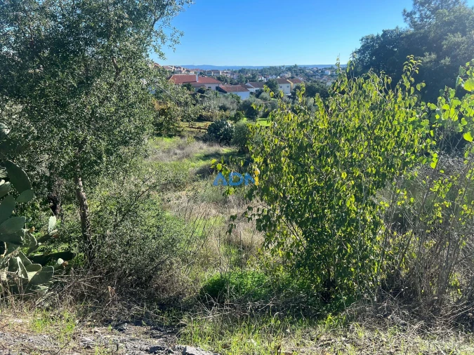 Terreno para Venda em Cebolais de Cima e Retaxo Foto 3