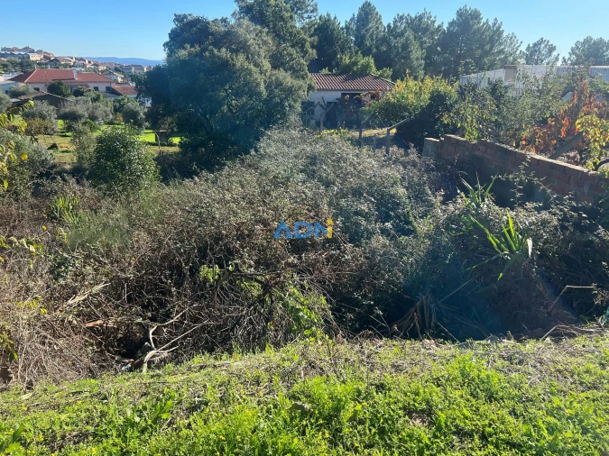 Terreno para Venda em Cebolais de Cima e Retaxo Foto 1