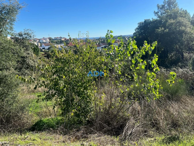 Terreno para Venda em Cebolais de Cima e Retaxo Foto 6