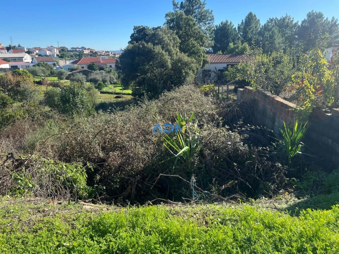 Terreno para Venda em Cebolais de Cima e Retaxo Foto 7