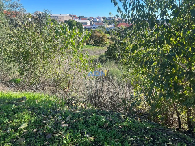 Terreno para Venda em Cebolais de Cima e Retaxo Foto 2