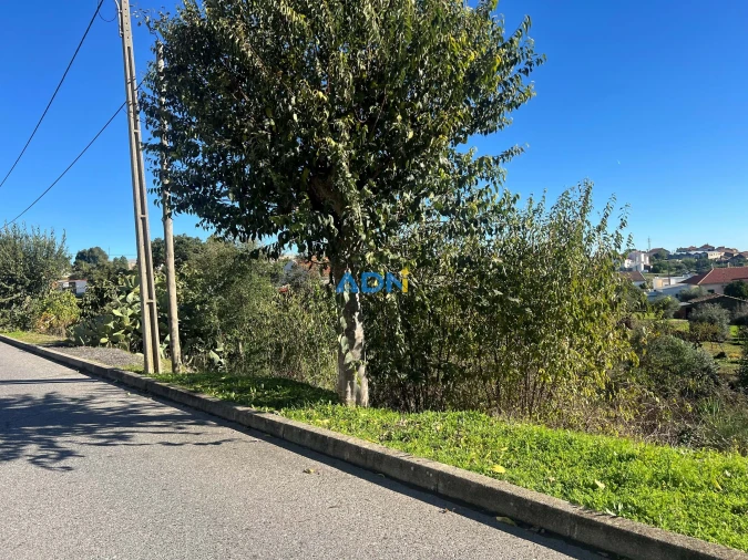 Terreno para Venda em Cebolais de Cima e Retaxo Foto 8
