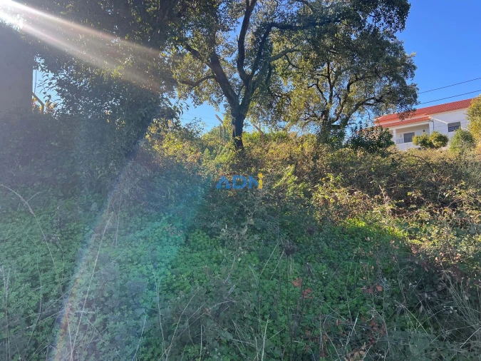 Terreno para Venda em Cebolais de Cima e Retaxo Foto 13