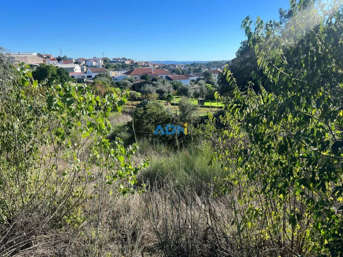 Terreno para Venda em Cebolais de Cima e Retaxo Foto 9