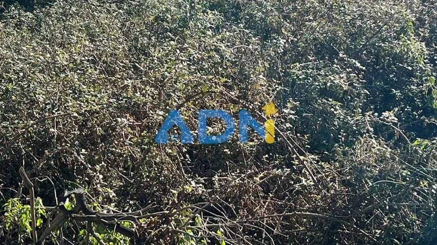 Terreno para Venda em Cebolais de Cima e Retaxo