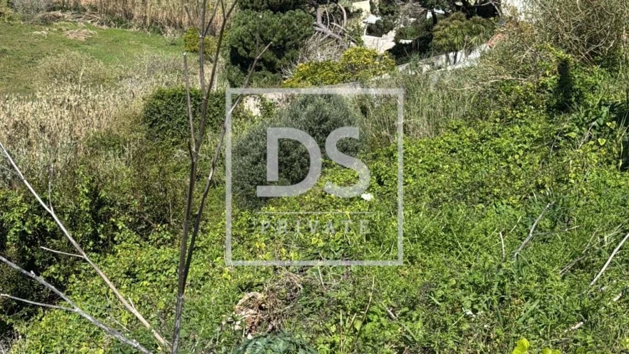 Terreno para Venda em Maceira Foto 3