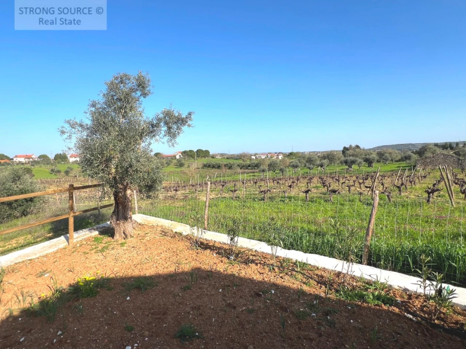 Quinta T4 para Venda em São Vicente do Paul e Vale de Figueira Foto 87