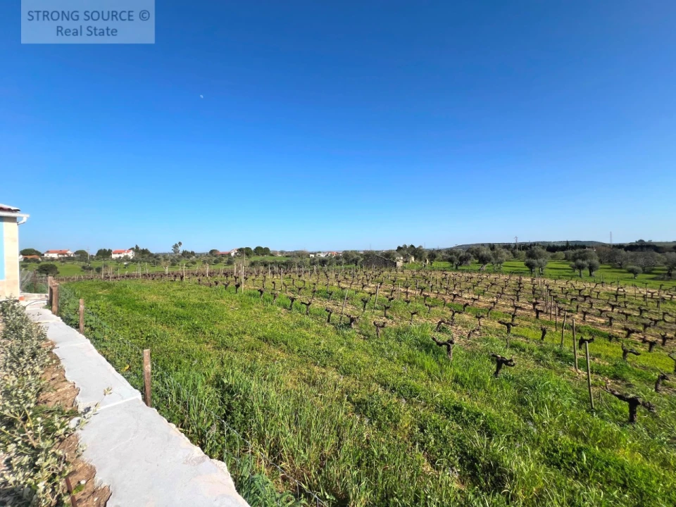 Quinta T4 para Venda em São Vicente do Paul e Vale de Figueira Foto 88